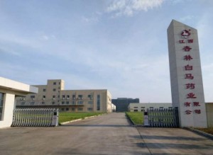 江西杏林白馬藥業(yè)抗震支架項目